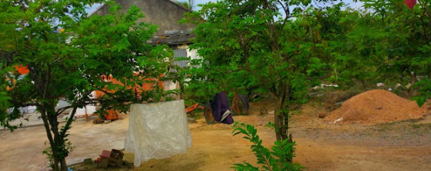 Sông Khoai