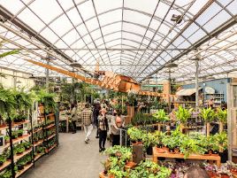 The Watering Can Flower Market