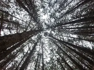 Temiskaming Nordic Ski Club