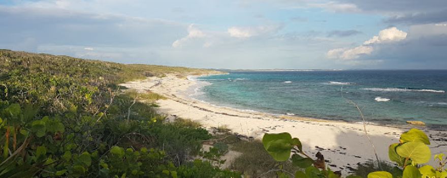 Bon Accord Beach