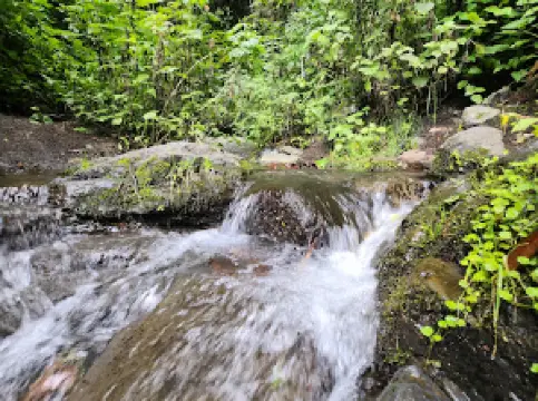 El salto
