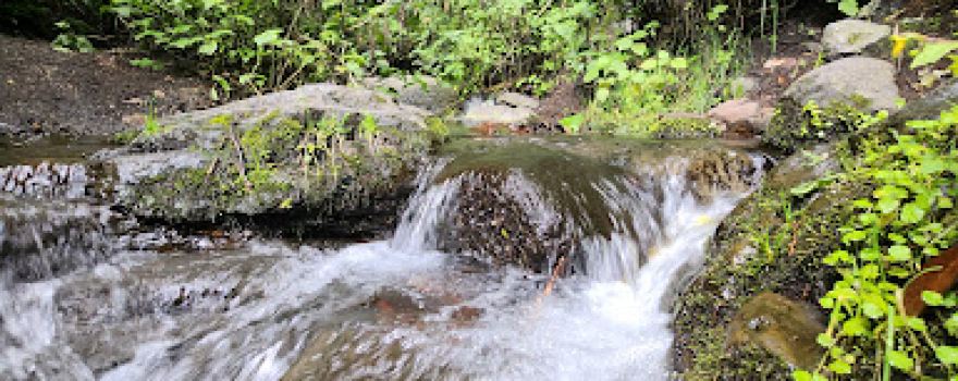 El salto