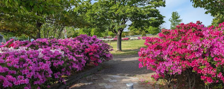 Tsubameshikotsu Park