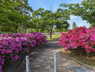 Tsubameshikotsu Park