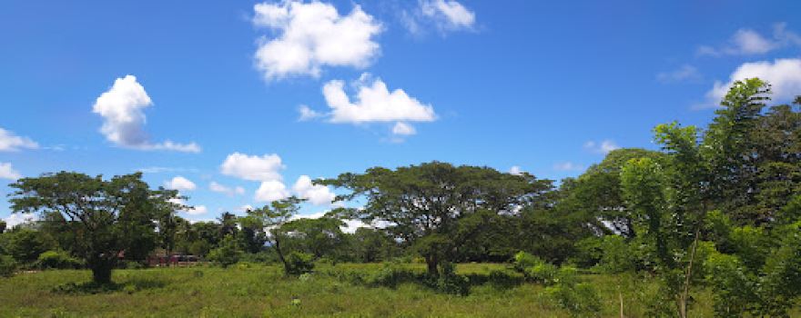 Humedal de Las Garzas