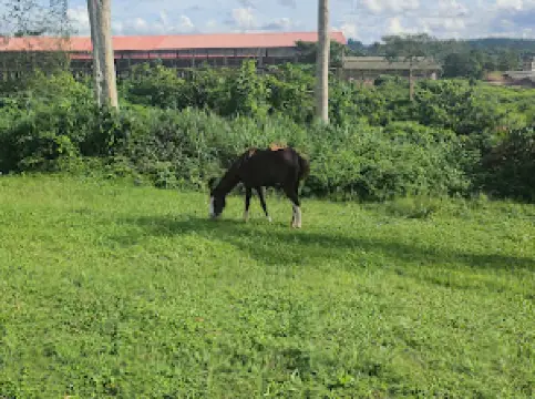 NIBANOLA Golf Course