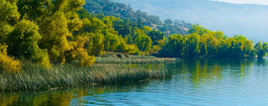 Lucerne Creek Park | Lake County Parks