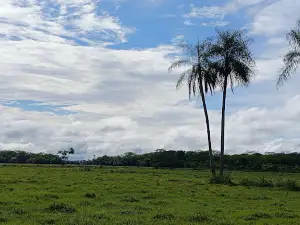 Praça Atílio Monteiro da Rocha