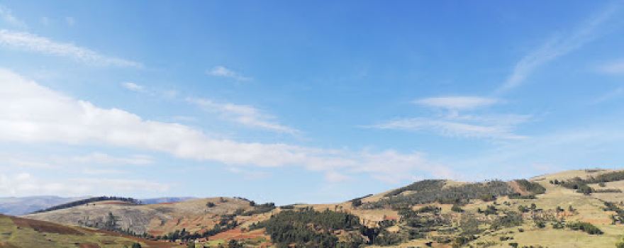 COCHA
