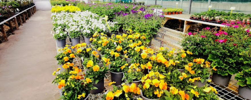 Giants Seat Garden Centre
