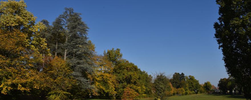Parc Bisso