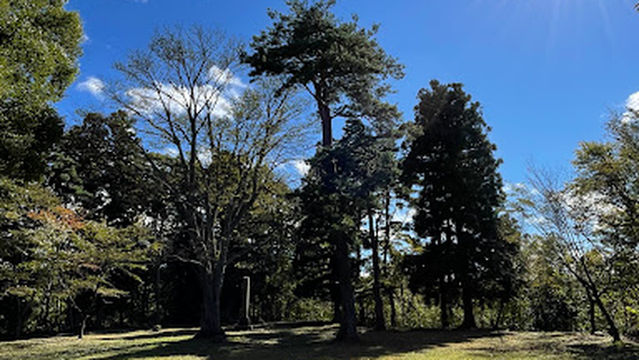 Shirakawa Castle Ruins