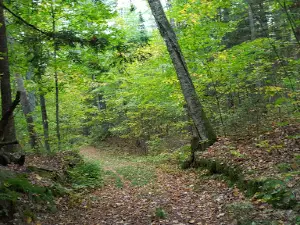 Anvil Lake Trail State Natural Area