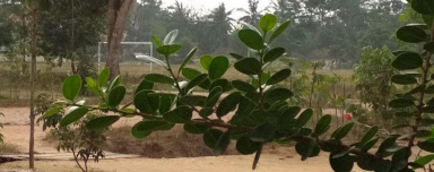 Lapangan Balam Asri