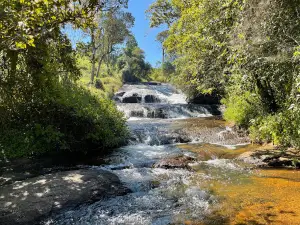 Williams Falls