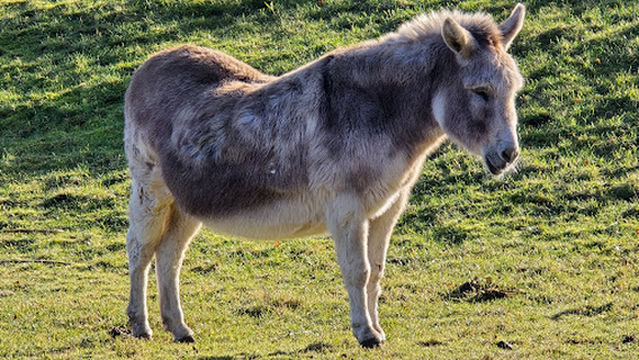 Visitors center De Helderse Vallei