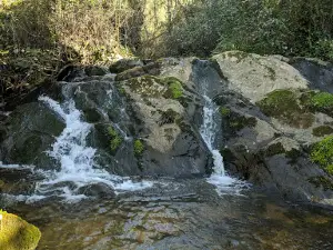 Sendero Ribera de Jabugo