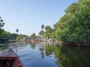 Biotopo Monterrico-Hawaii