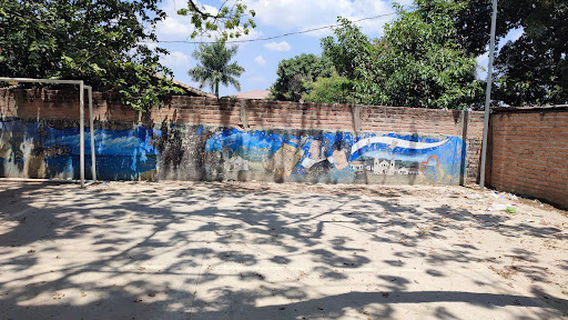 Árbol La Ceiba Talanga