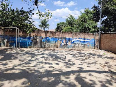 Árbol La Ceiba Talanga