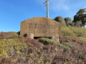 Tomidahama Park