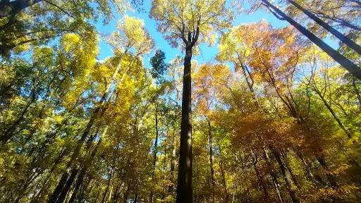 Whites Woods Nature Center