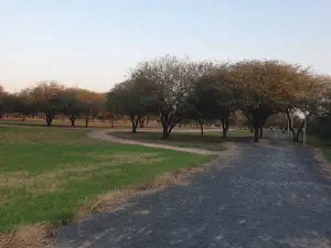 - loma plata Park