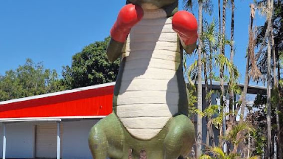 The Big Boxing Crocodile