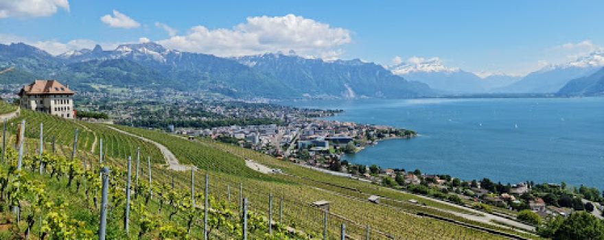 Terrasses viticoles de Lavaux