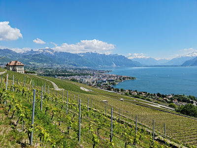 Terrasses viticoles de Lavaux