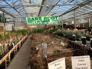 Toftwood Garden Centre