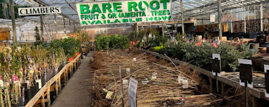 Toftwood Garden Centre