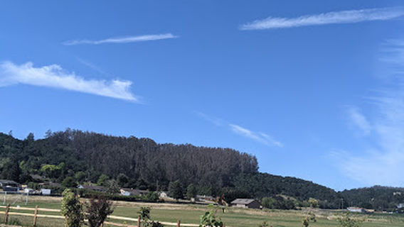 Aromas Dog Park
