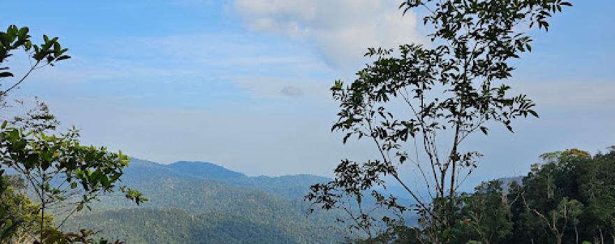 Gunung Bunga Buah