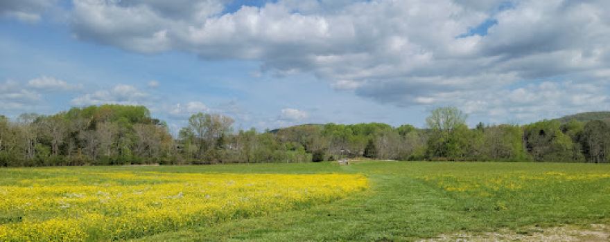 Alvin C. York Home