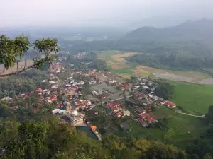 Attractions Fish Sungai Janiah