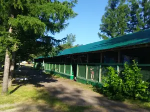 Yenisey, Detskiy Ozdorovitel'nyy Lager'