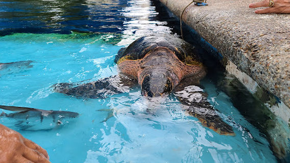 Acuario Mundo Marino