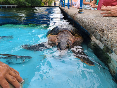 Acuario Mundo Marino