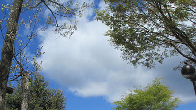 Yatsusugi Forest Learning Center
