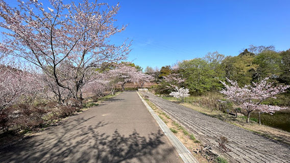 Yotsukaido