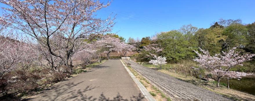Yotsukaido General Park