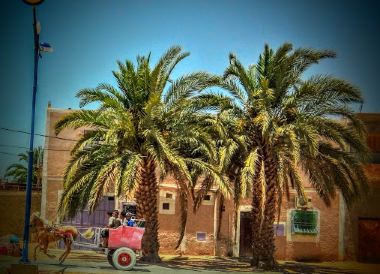 Touggourt