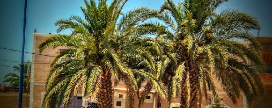 Masjid Abu Bakr source of the desert