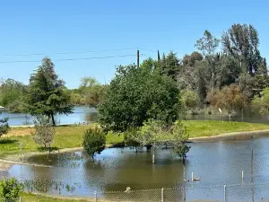 Skagg's Bridge Park