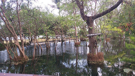 Kalipuro