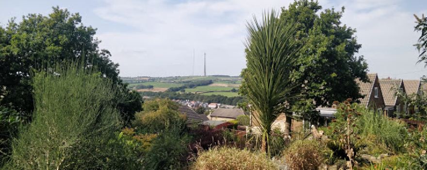 Cliffe Woods and Park