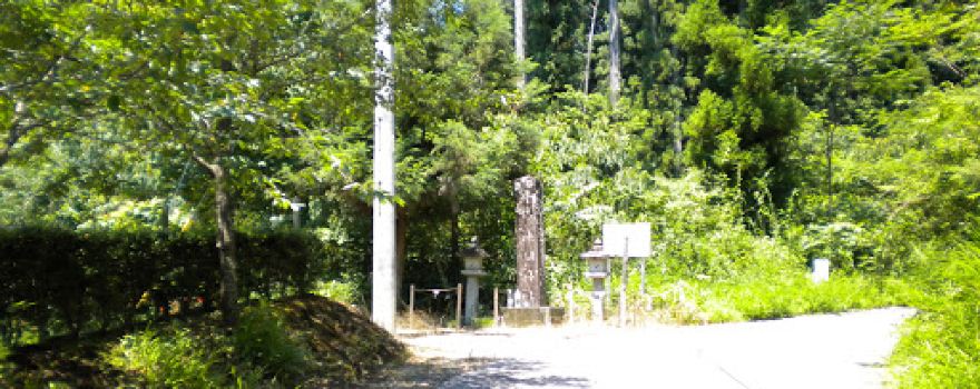 Kabuchi Shrine Osugi