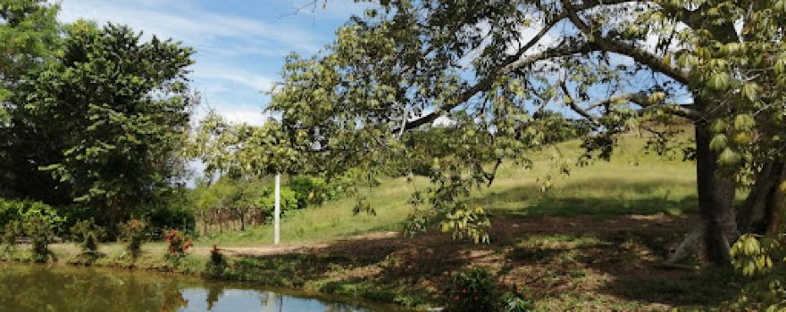 Finca el buen retiro los lagos