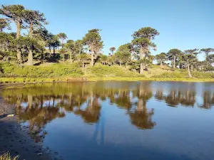 Trail to Laguna Escondida